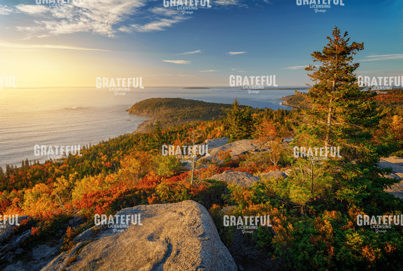 Autumn Morning on Gorham Mountain