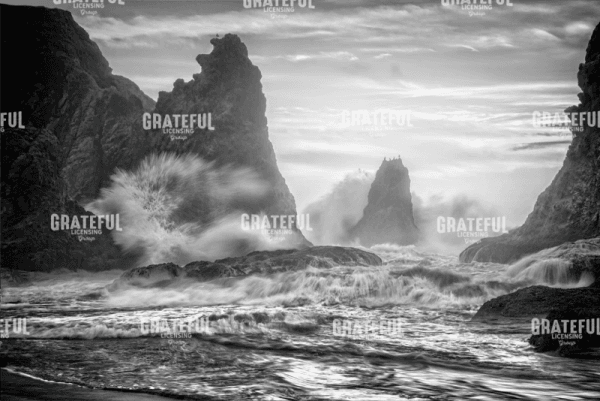 Bandon Fury Monochrome