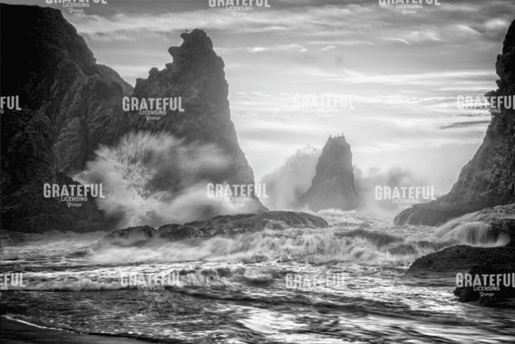 Bandon Fury Monochrome