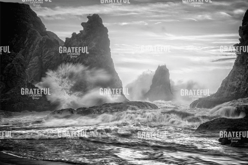 Bandon Fury Monochrome