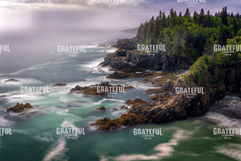 Along The Cutler Coast