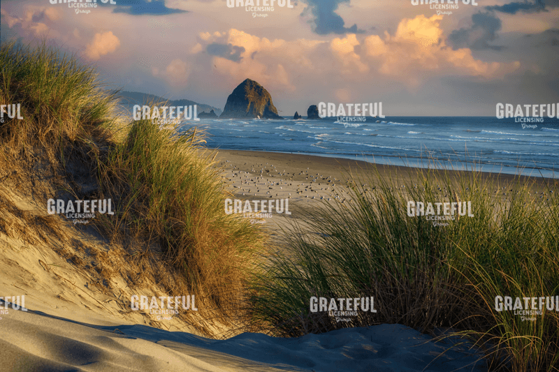 Evening on Cannon Beach