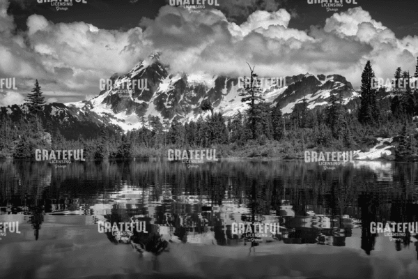 Rick Berk-Head in the Clouds B&W.tif