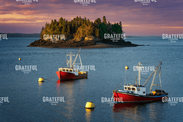 In The Harbor at Dusk