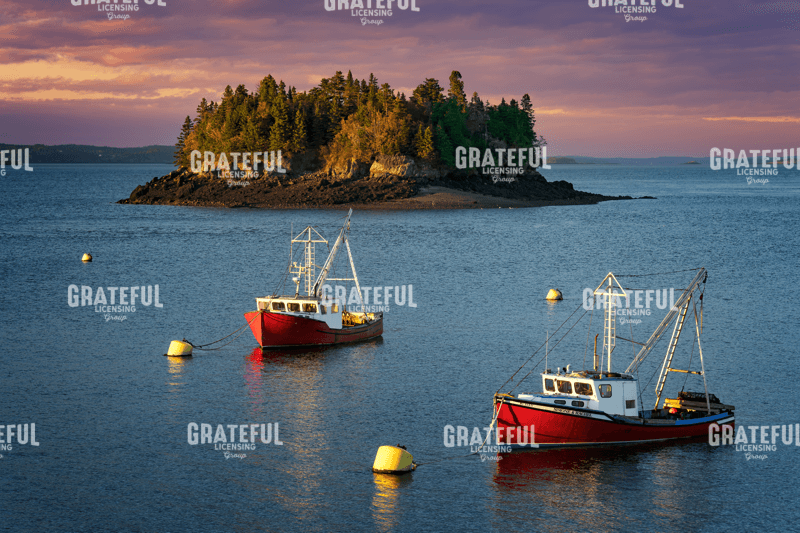 In The Harbor at Dusk