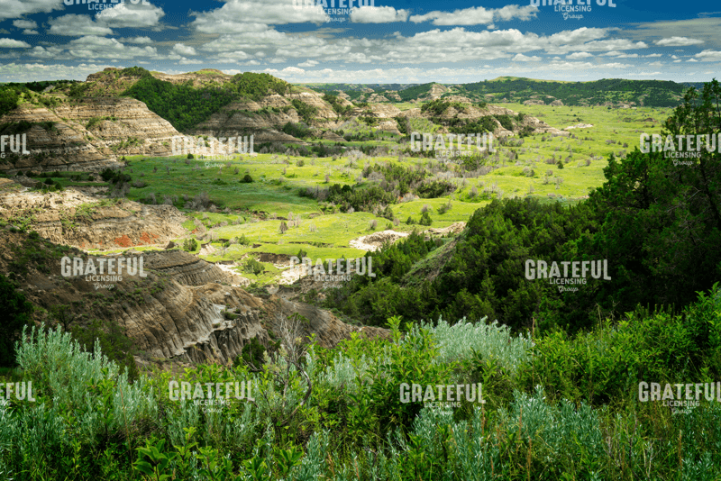 Little Missouri Badlands