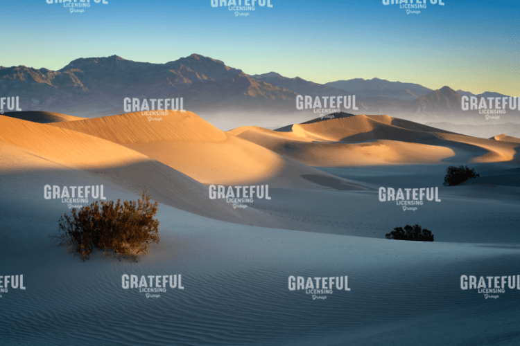 Mesquite Dunes