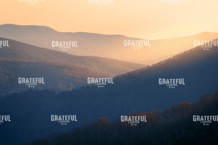 Shenandoah Dream