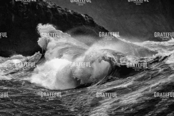 Siren's Song III B&W