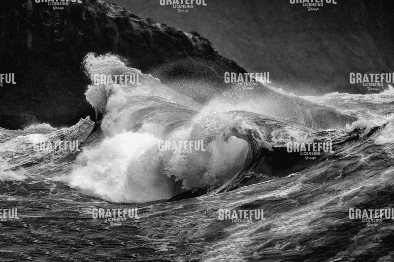 Siren's Song III B&W