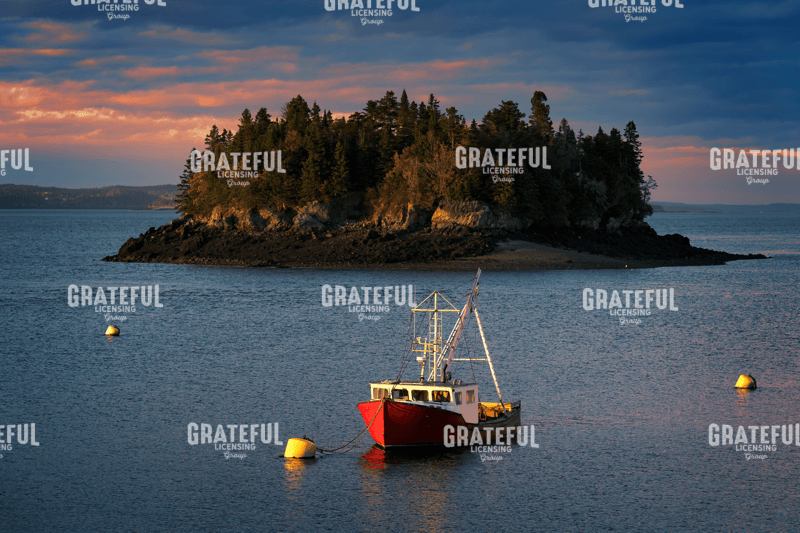 Sundown in the Harbor