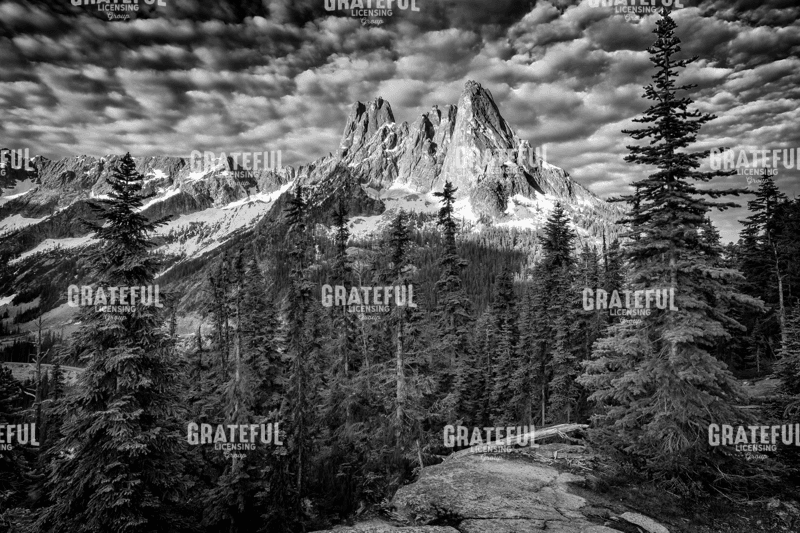The Liberty Bell B&W