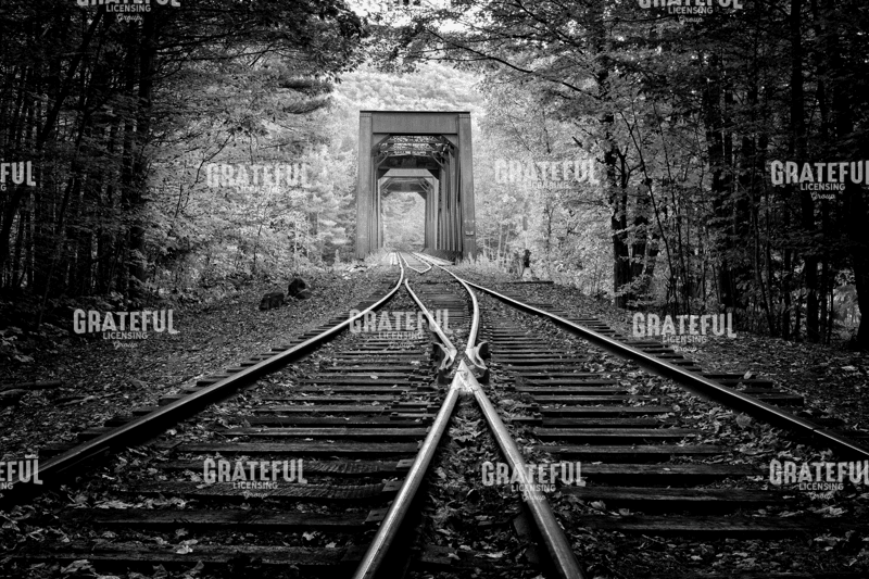 White Mountain Autumn Monochrome