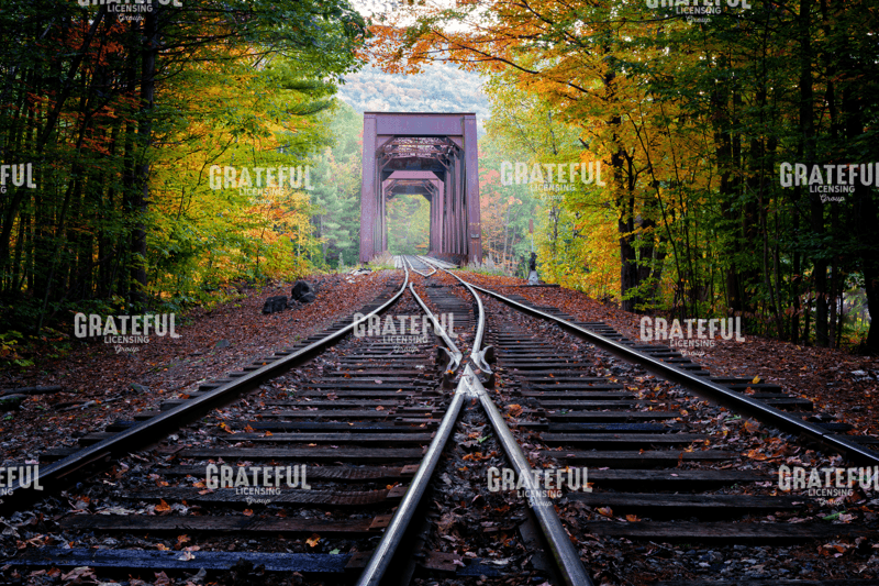 White Mountain Autumn