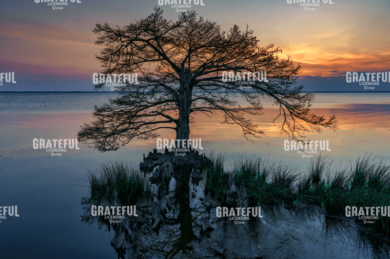 Dusk on Currituck Sound