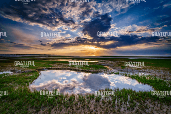 Paines Creek Reflections