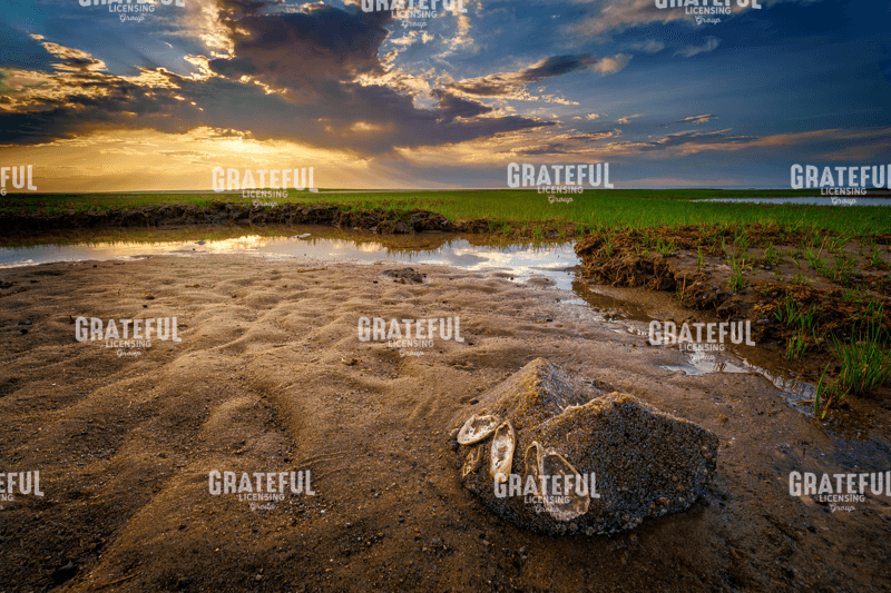 Sunset on Paines Creek Beach