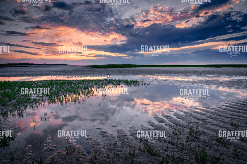 Paines Creek Reflections II
