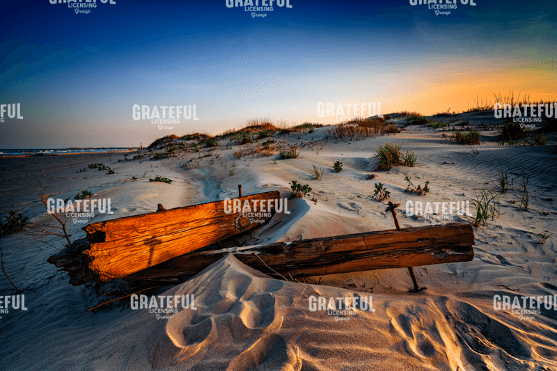 Wreckage In The Dunes