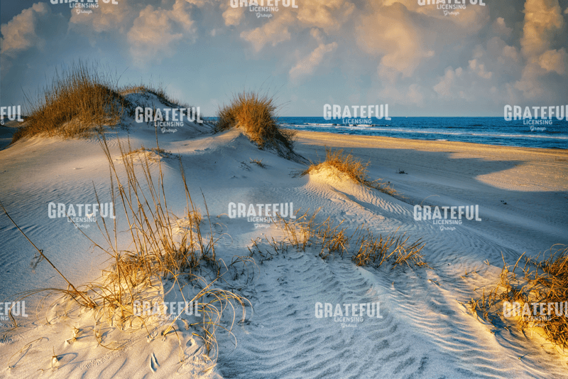 The Dunes of OBX