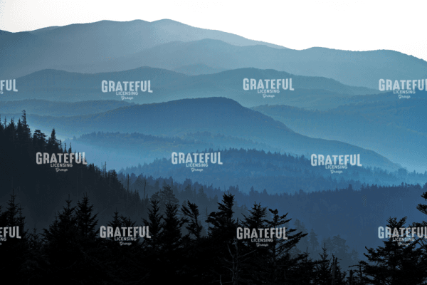 The Smokies