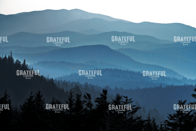 The Smokies