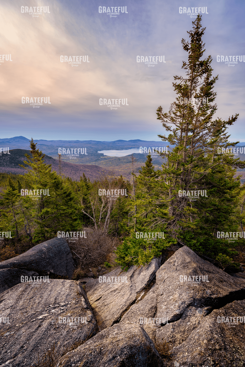 View from Parker Ridge