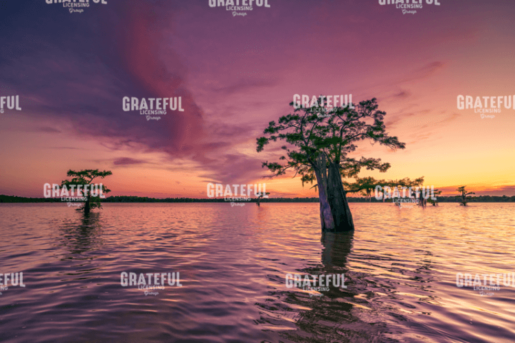 Atchafalaya Sunset