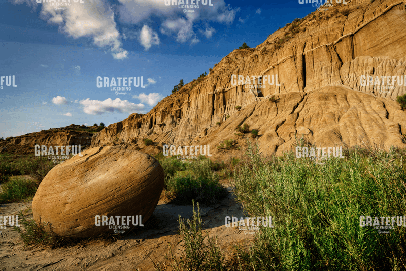 Cannonball Concretion