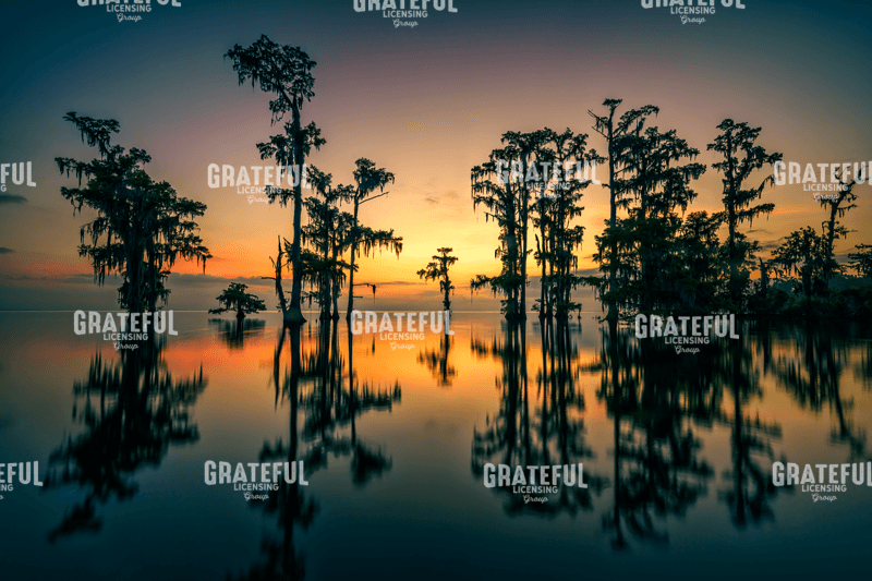 Dawn on Lake Maurepas