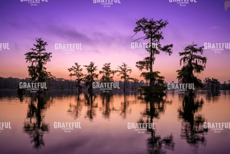 Lake Martin Twilight