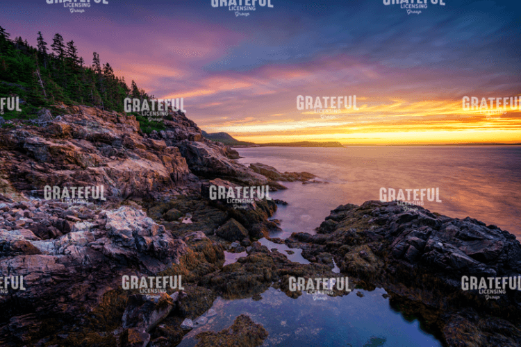 Morning Glow from Otter Cliff