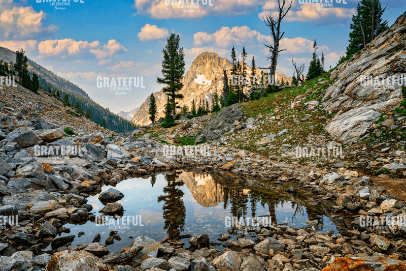 Mount Regan Reflection