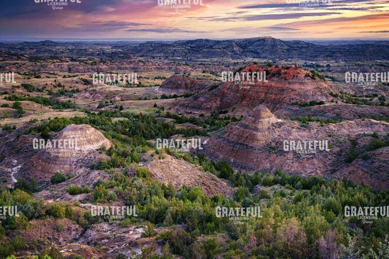 Painted Canyon at Dawn