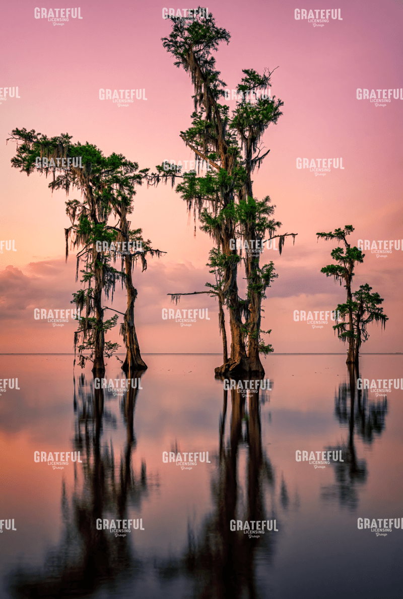 Pink Twilight on Lake Maurepas