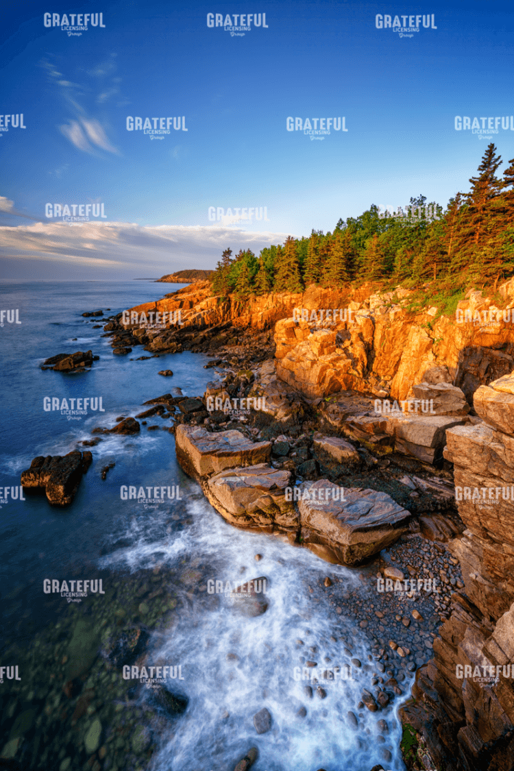 Spring Morning in Acadia