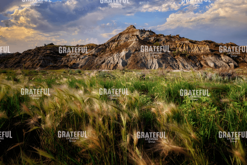 Summer Evening in the Badlands