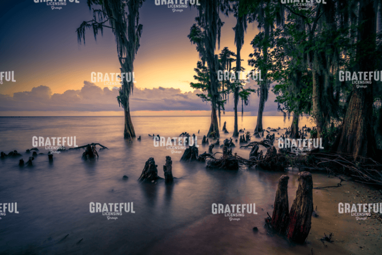 The Shore of Lake Pontchartrain