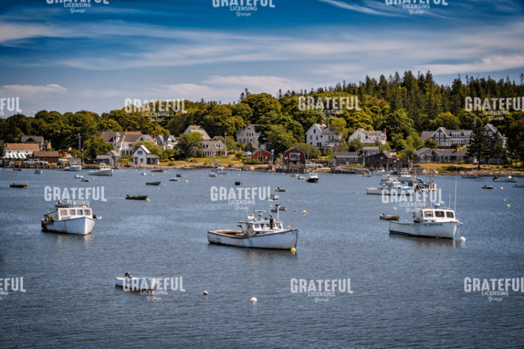Carvers Harbor