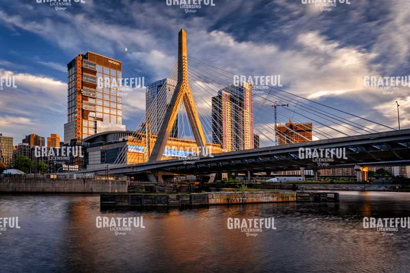 The Garden and The Bridge