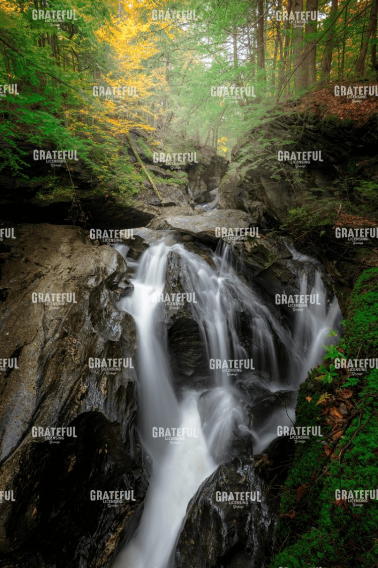 Bingham Falls