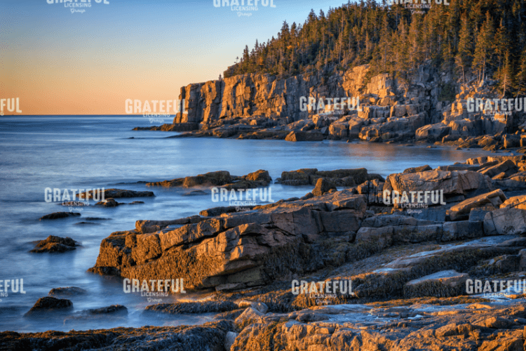 Morning Light on Otter Cliff