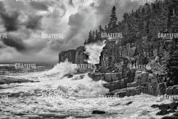 Noreaster at Otter Cliff