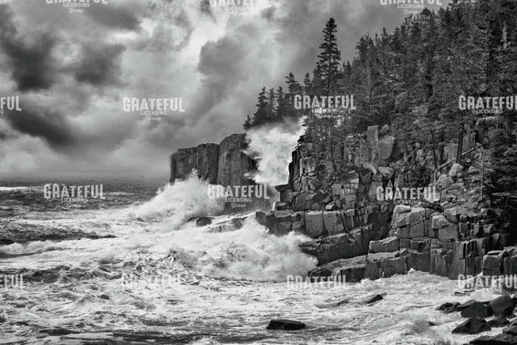 Noreaster at Otter Cliff