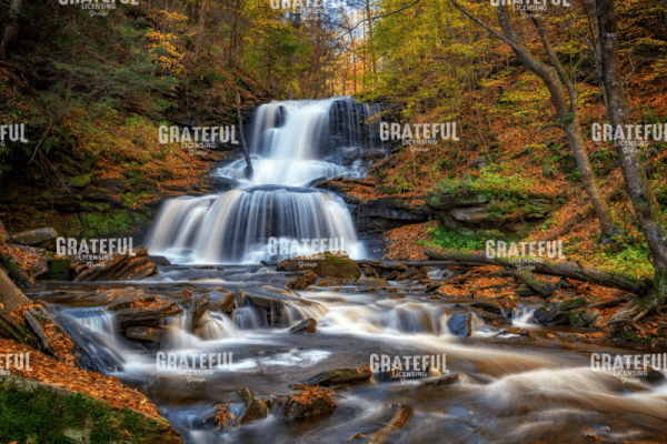 Tuscarora Falls