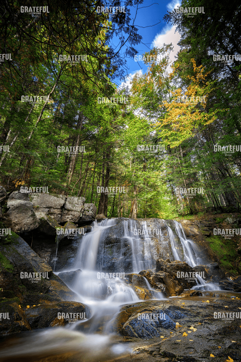 Rick Berk-Autumn in the Maine Woods.tif