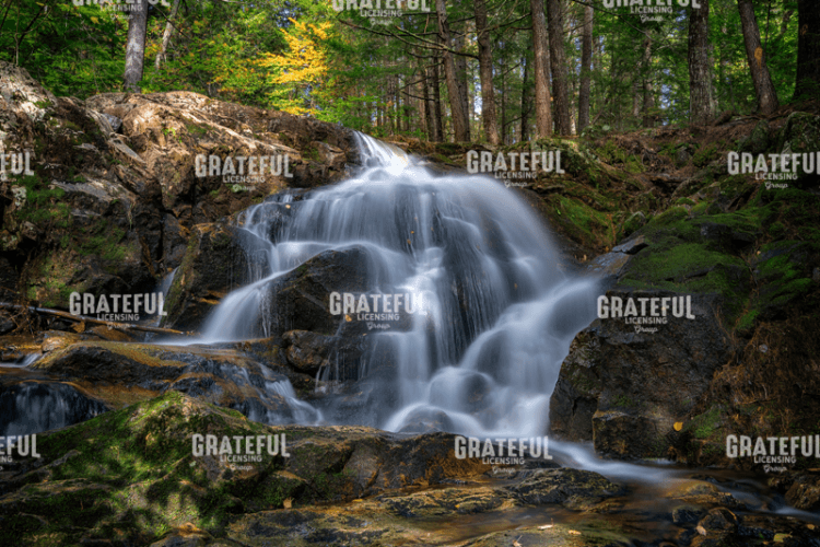 Rick Berk-Waterfall in the Woods.tif