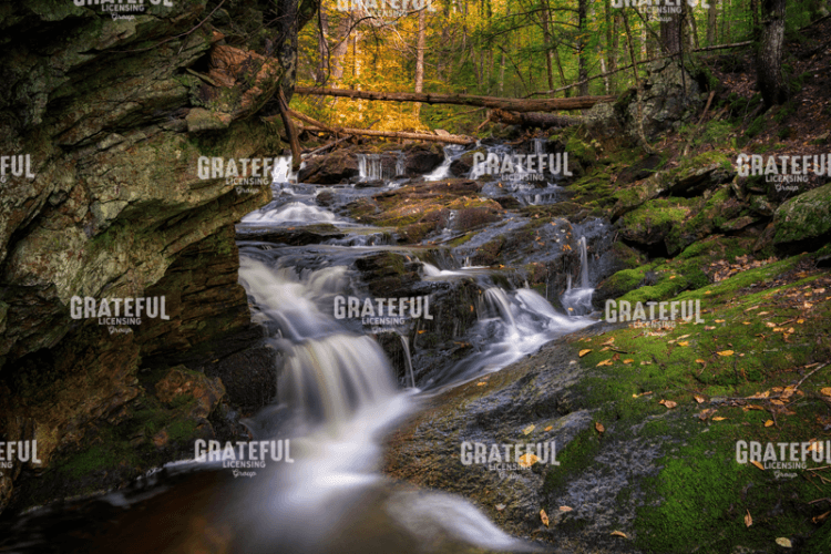 Rick Berk-Autumn on the Appalachian Trail.tif