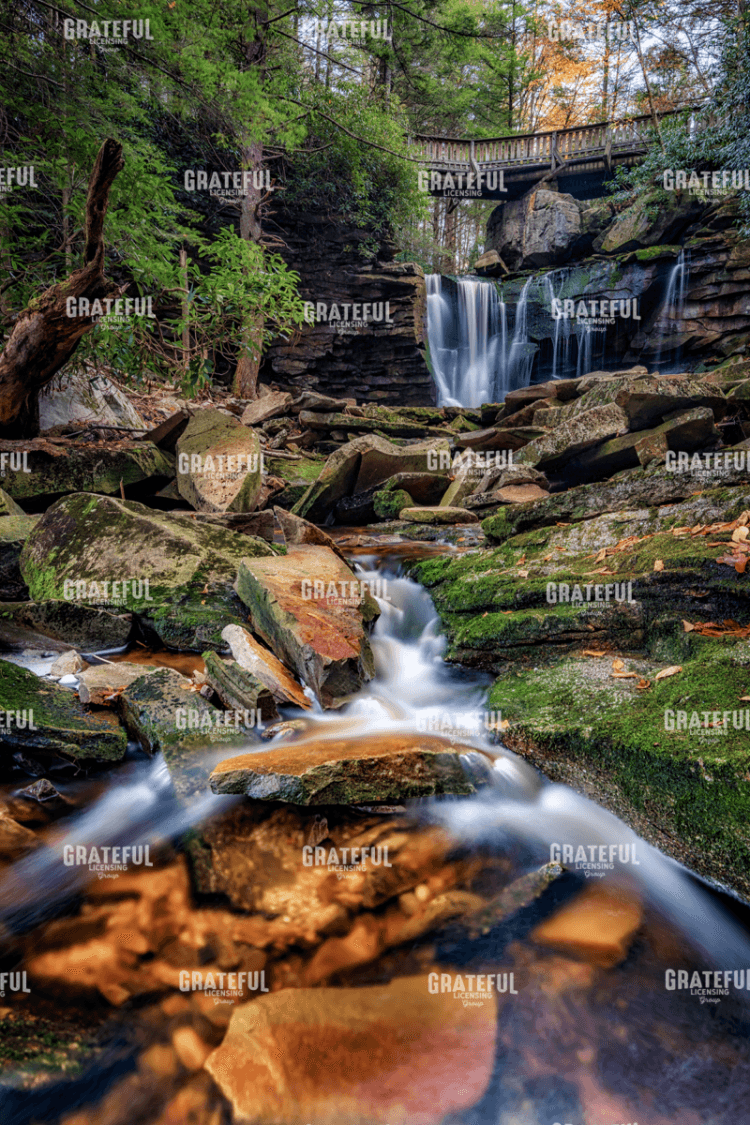 Rick Berk-Elakala Upper Falls.tif