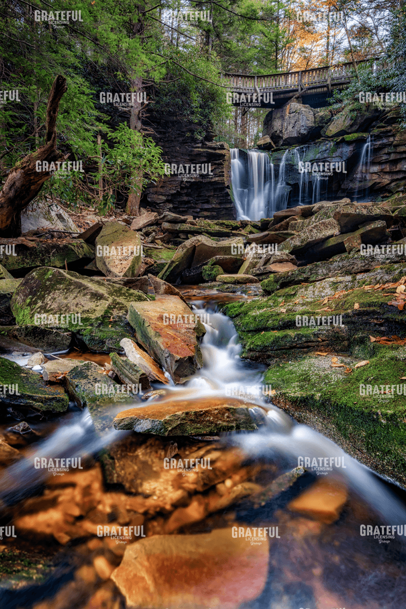 Rick Berk-Elakala Upper Falls.tif
